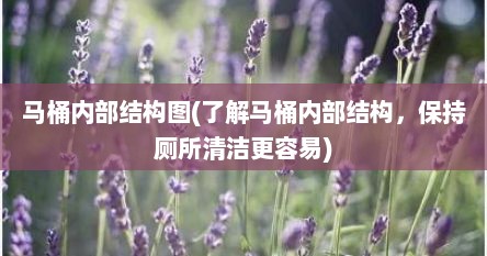 马桶内部结构图(了解马桶内部结构，保持厕所清洁更容易)