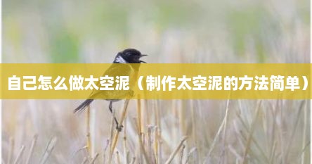 自己怎么做太空泥（制作太空泥的方法简单）