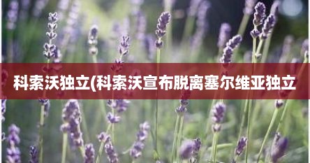 科索沃独立(科索沃宣布脱离塞尔维亚独立