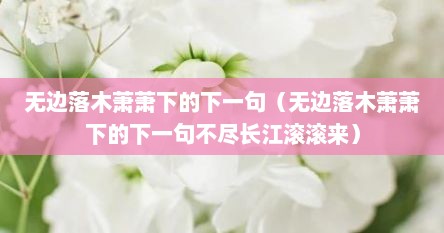 无边落木萧萧下的下一句（无边落木萧萧下的下一句不尽长江滚滚来）