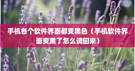 手机各个软件界面都变黑色（手机软件界面变黑了怎么调回来）