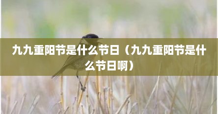 九九重阳节是什么节日（九九重阳节是什么节日啊）