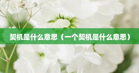 契机是什么意思（一个契机是什么意思）