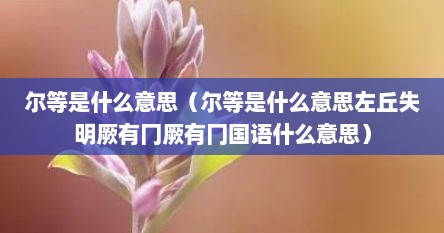 尔等是什么意思（尔等是什么意思左丘失明厥有冂厥有冂国语什么意思）