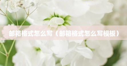 邮箱格式怎么写（邮箱格式怎么写模板）