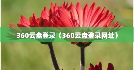 360云盘登录（360云盘登录网址）