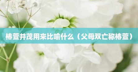 椿萱并茂用来比喻什么（父母双亡称椿萱）