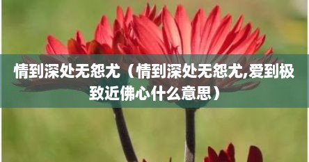 情到深处无怨尤（情到深处无怨尤,爱到极致近佛心什么意思）