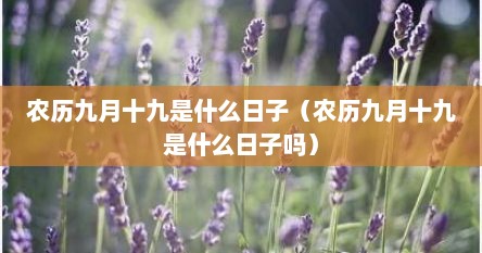 农历九月十九是什么日子（农历九月十九是什么日子吗）