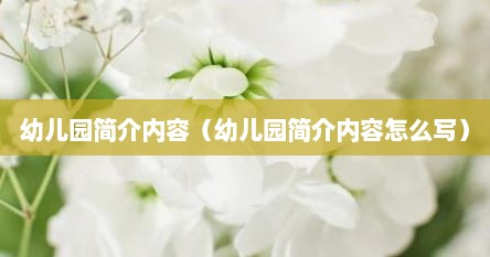 幼儿园简介内容（幼儿园简介内容怎么写）