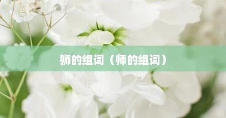 狮的组词（师的组词）