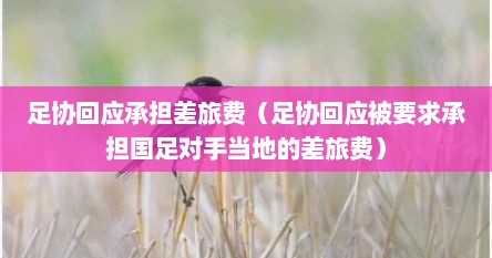 足协回应承担差旅费（足协回应被要求承担国足对手当地的差旅费）