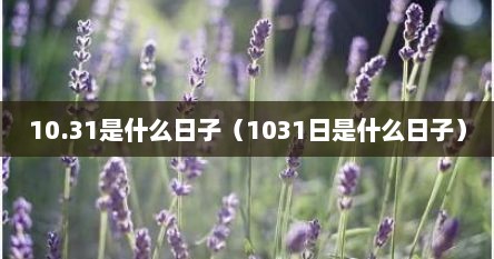 10.31是什么日子（1031日是什么日子）