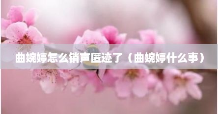 曲婉婷怎么销声匿迹了（曲婉婷什么事）