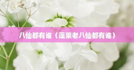 八仙都有谁（蓬莱老八仙都有谁）