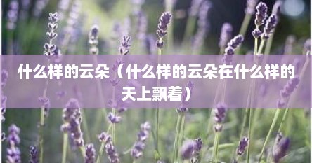 什么样的云朵（什么样的云朵在什么样的天上飘着）