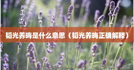 韬光养晦是什么意思（韬光养晦正确解释）