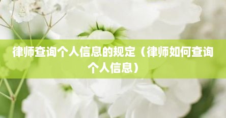 律师查询个人信息的规定（律师如何查询个人信息）