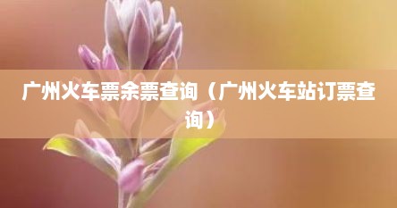 广州火车票余票查询（广州火车站订票查询）