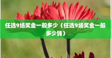 任选9场奖金一般多少（任选9场奖金一般多少钱）