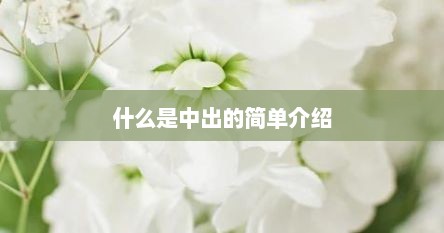 什么是中出的简单介绍