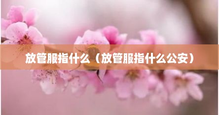 放管服指什么（放管服指什么公安）