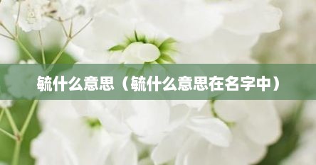 毓什么意思（毓什么意思在名字中）