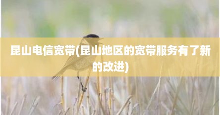 昆山电信宽带(昆山地区的宽带服务有了新的改进)