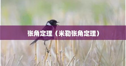 张角定理（米勒张角定理）