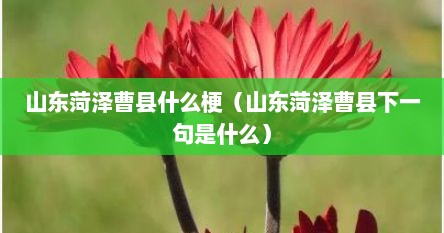 山东菏泽曹县什么梗（山东菏泽曹县下一句是什么）