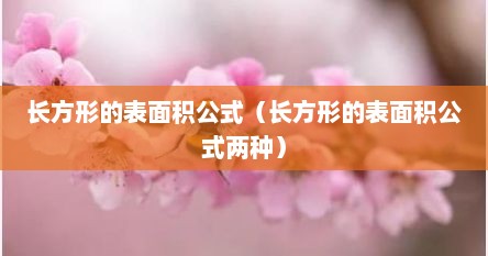 长方形的表面积公式（长方形的表面积公式两种）