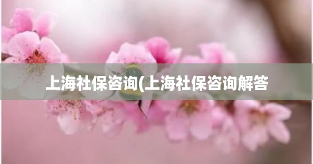 上海社保咨询(上海社保咨询解答