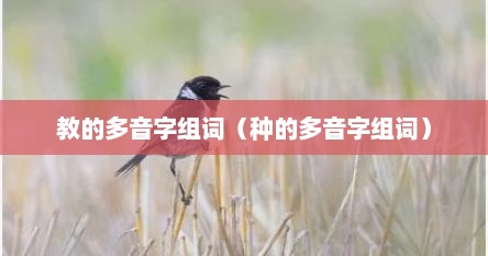 教的多音字组词（种的多音字组词）