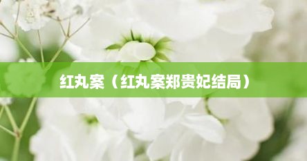 红丸案（红丸案郑贵妃结局）