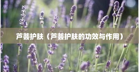 芦荟护肤（芦荟护肤的功效与作用）