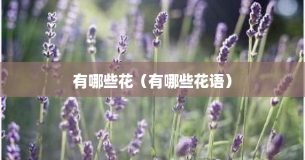 有哪些花（有哪些花语）