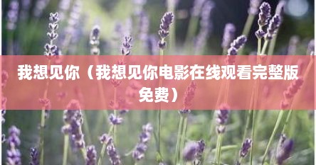 我想见你（我想见你电影在线观看完整版免费）