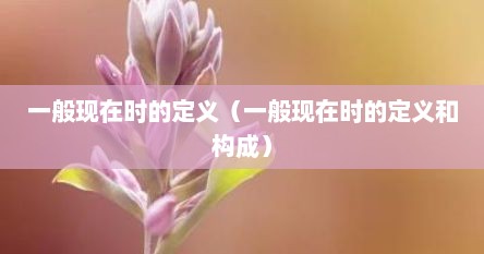 一般现在时的定义（一般现在时的定义和构成）