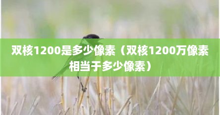 双核1200是多少像素（双核1200万像素相当于多少像素）