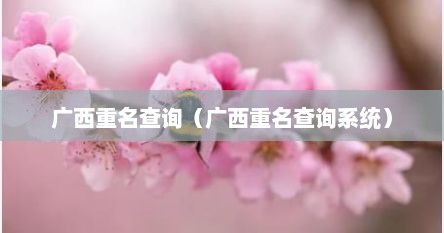 广西重名查询（广西重名查询系统）