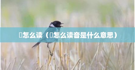 喰怎么读（喰怎么读音是什么意思）