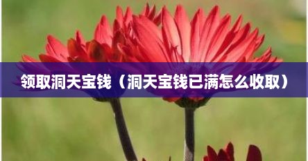 领取洞天宝钱（洞天宝钱已满怎么收取）