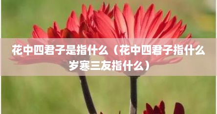 花中四君子是指什么（花中四君子指什么岁寒三友指什么）