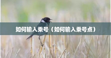 如何输入乘号（如何输入乘号点）