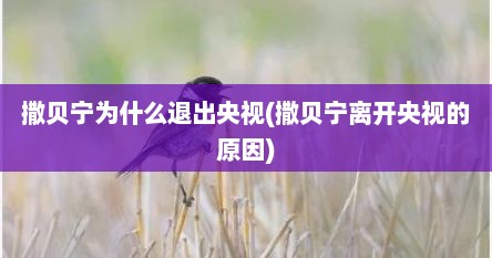 撒贝宁为什么退出央视(撒贝宁离开央视的原因)