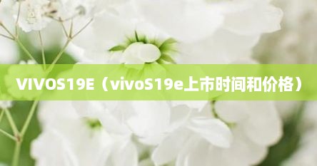 VIVOS19E（vivoS19e上市时间和价格）