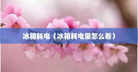 冰箱耗电（冰箱耗电量怎么看）