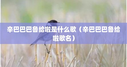 辛巴巴巴鲁给啦是什么歌（辛巴巴巴鲁给啦歌名）