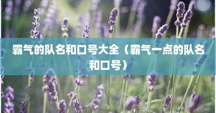 霸气的队名和口号大全（霸气一点的队名和口号）