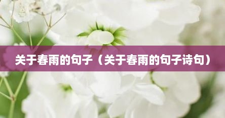 关于春雨的句子（关于春雨的句子诗句）